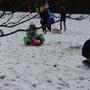 Die Schler im Schnee