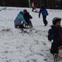 Die Schler im Schnee