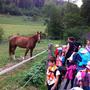 Waldtag