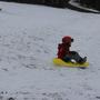 Die Schler im Schnee